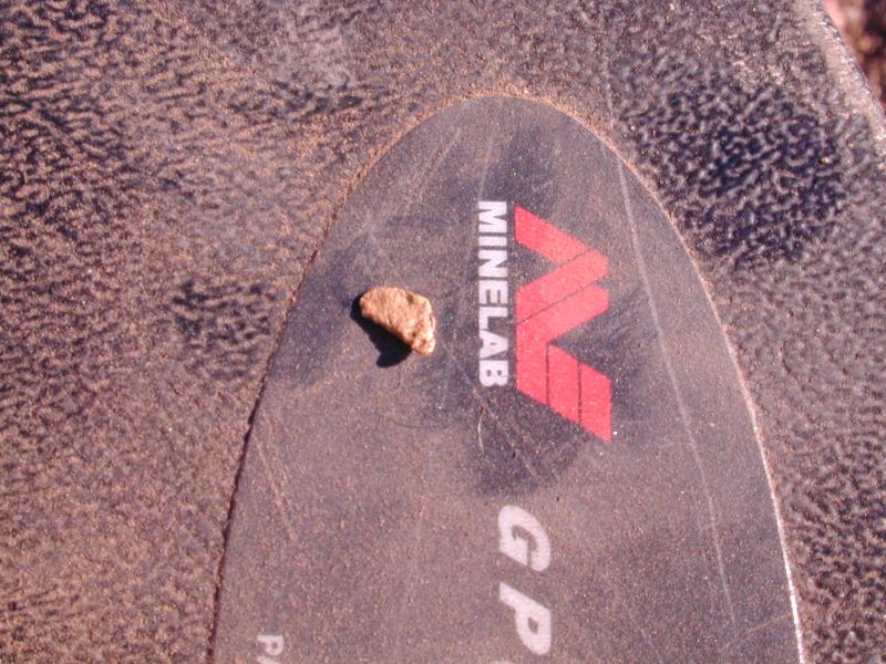 DSCN1545_2_.jpg