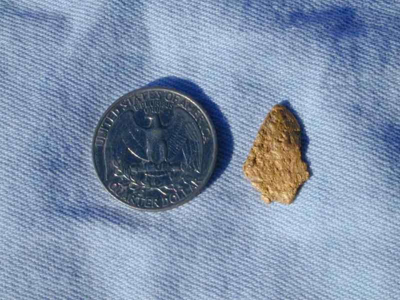 DSCN4649.jpg