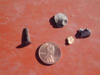 thumbs/DSCN4608.jpg