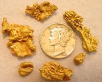 thumbs/Nuggets Nelson Crk..jpg