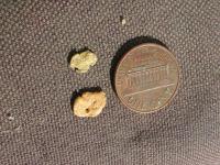 thumbs/Nuggets20and21small.jpg