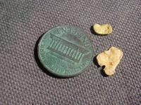thumbs/nugget14and15small.jpg