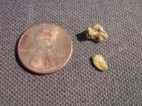 thumbs/nuggets 12 and lucky13.jpg