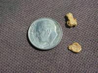 thumbs/nuggetst18and19small.jpg