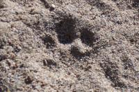 thumbs/100_0537.jpg