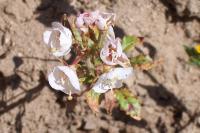 thumbs/100_0542.jpg