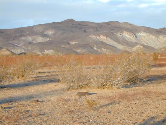 DSCN0537.jpg