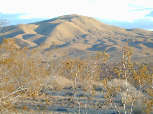 DSCN0546.jpg