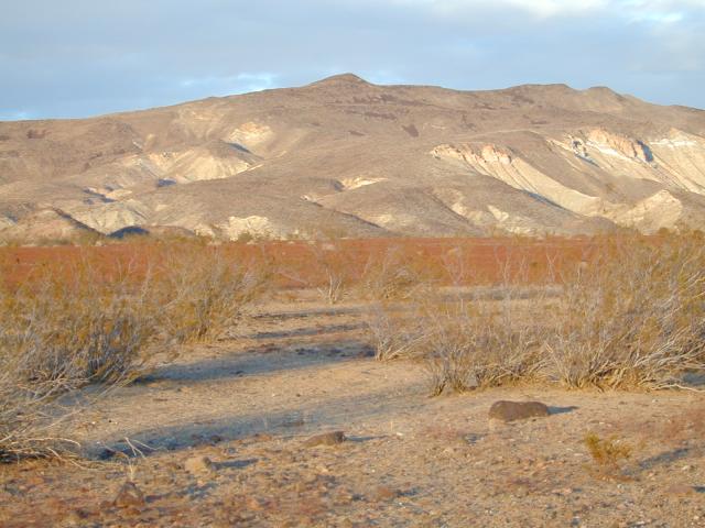 DSCN0547.jpg
