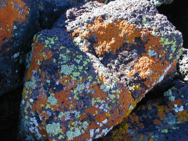 DSCN0799.jpg