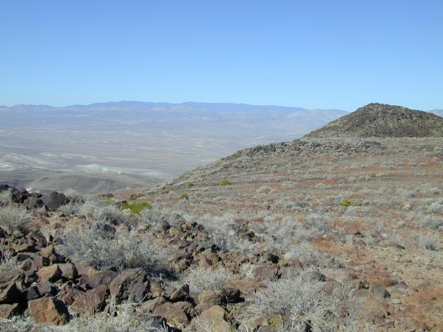 DSCN0804.jpg