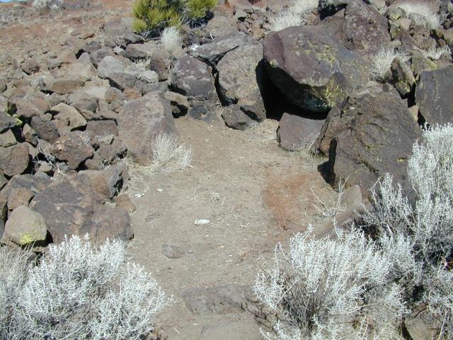 DSCN0811.jpg