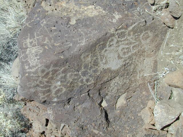 DSCN0816.jpg