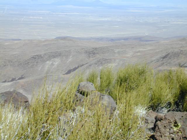 DSCN0835.jpg