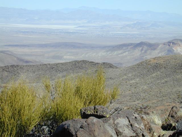 DSCN0836.jpg