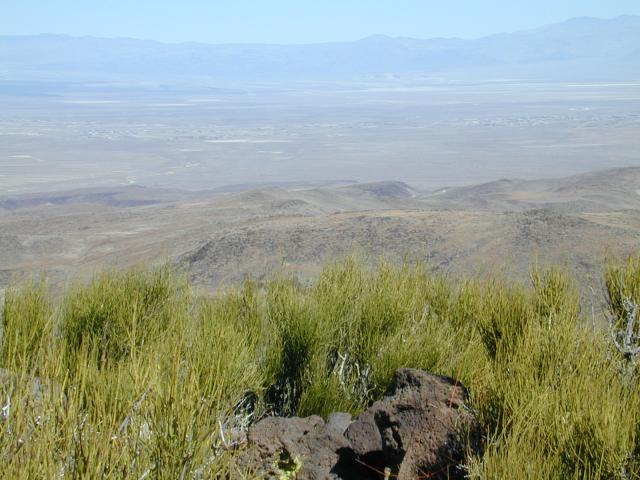 DSCN0837.jpg