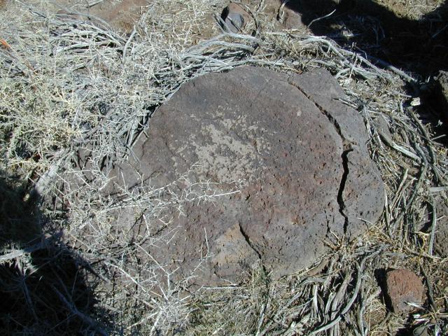 DSCN0845.jpg