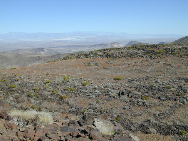 DSCN0855.jpg