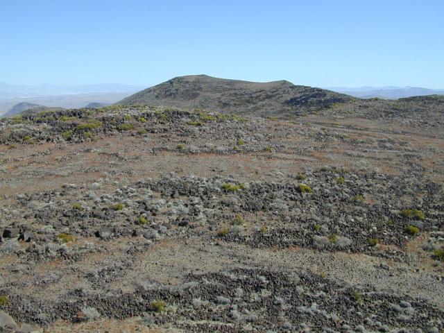 DSCN0856.jpg