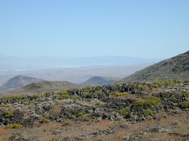 DSCN0865.jpg