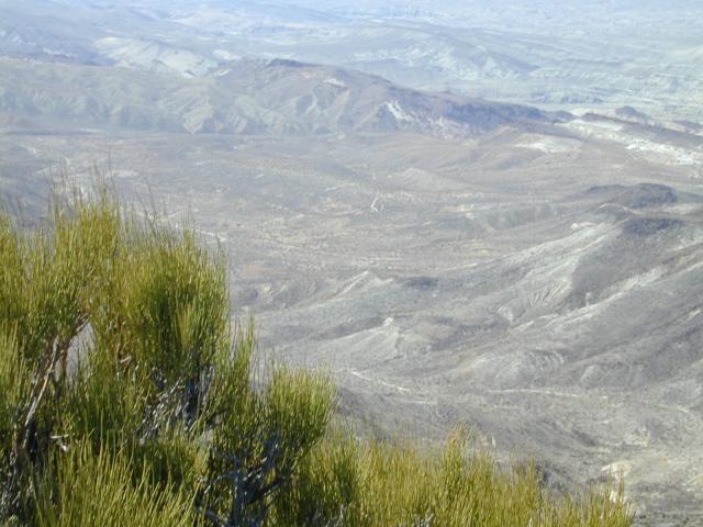 DSCN0867.jpg
