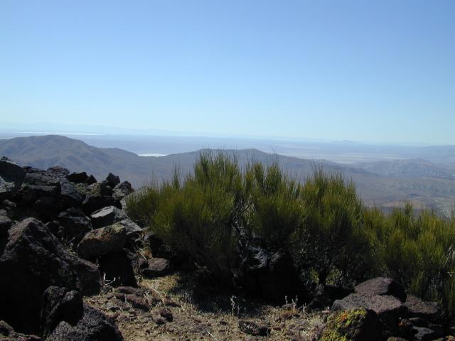 DSCN0869.jpg