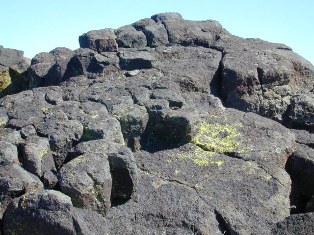 DSCN0873.jpg