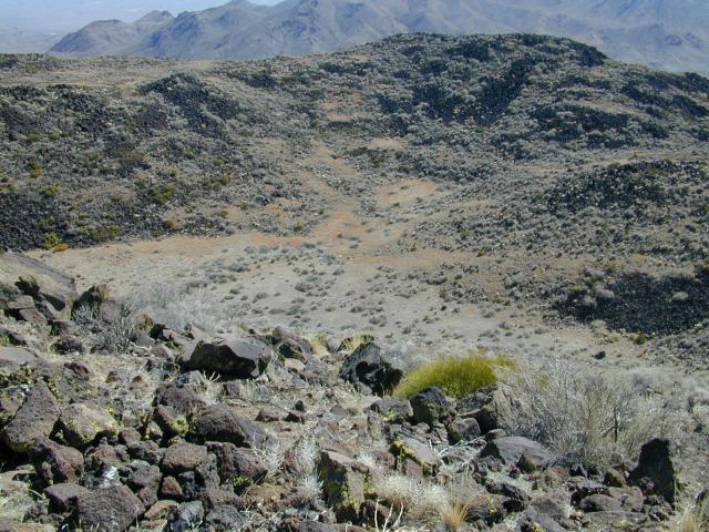 DSCN0879.jpg