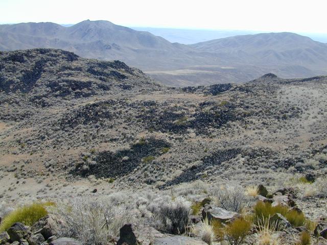 DSCN0882.jpg