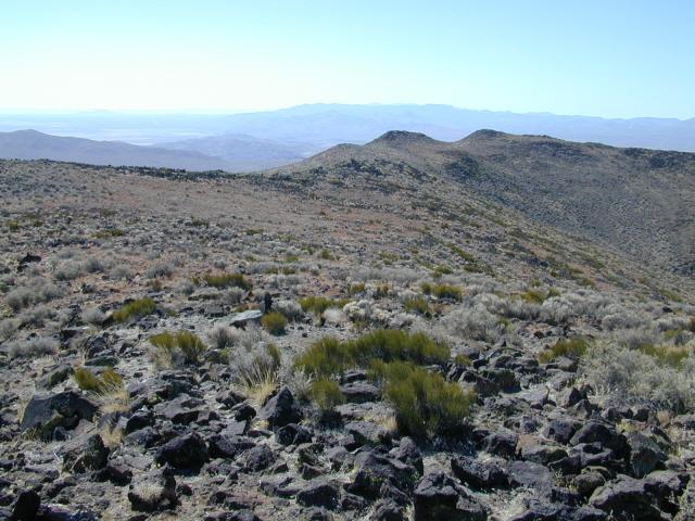 DSCN0899.jpg