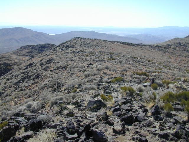 DSCN0900.jpg