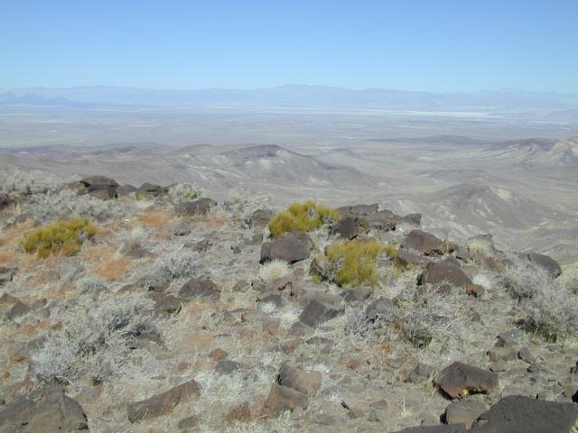 DSCN0907.jpg