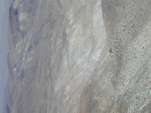 DSCN0929.jpg