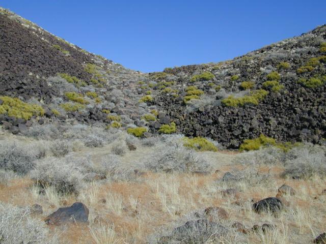 DSCN0938.jpg