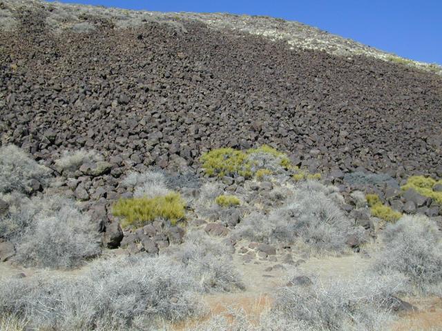 DSCN0939.jpg