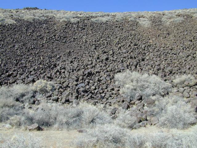 DSCN0940.jpg