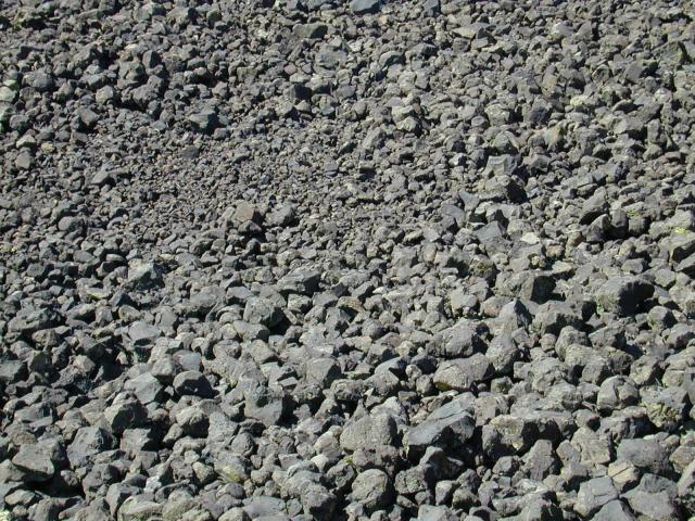 DSCN0942.jpg