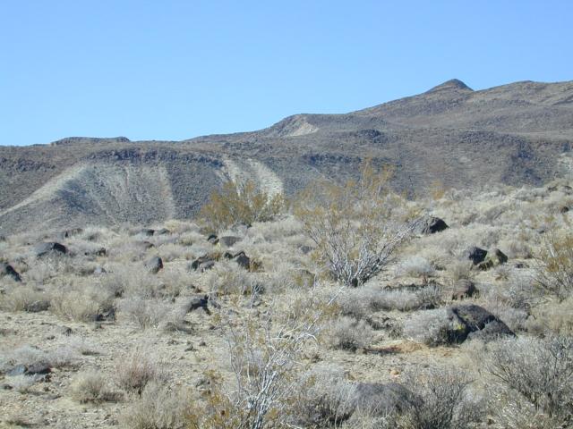 DSCN0945.jpg