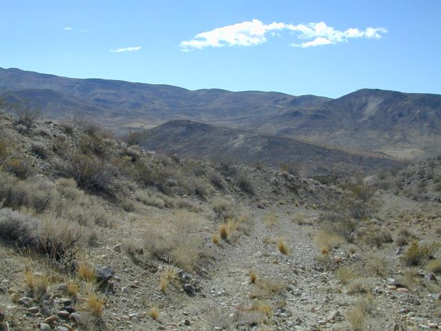 DSCN0964.jpg