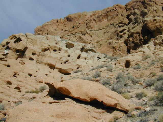DSCN1016.jpg