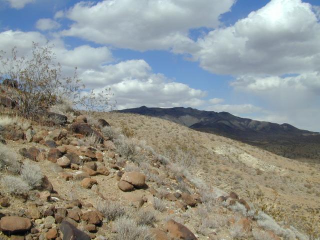 DSCN1052.jpg