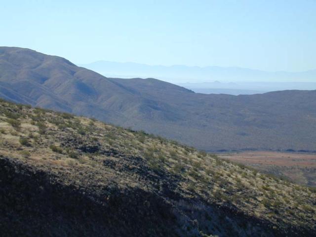 DSCN5765.jpg.jpg