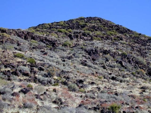 DSCN5779.jpg.jpg