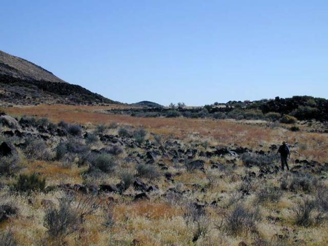 DSCN5781.jpg.jpg