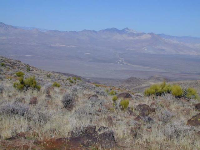 DSCN5804.jpg.jpg