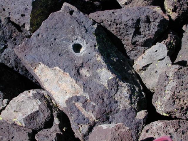 DSCN5832.jpg.jpg