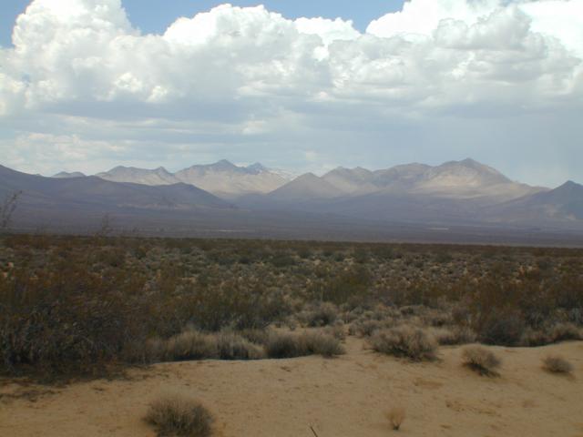 DSCN1246.jpg