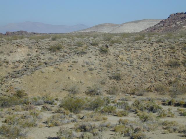 DSCN2704.jpg