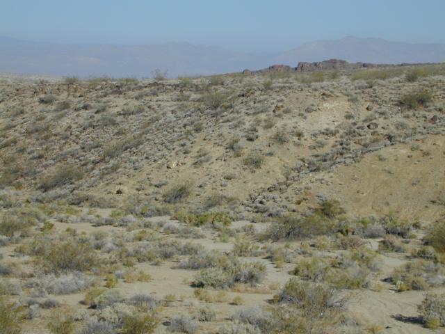 DSCN2705.jpg