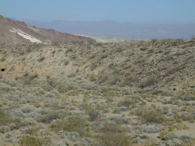 DSCN2706.jpg